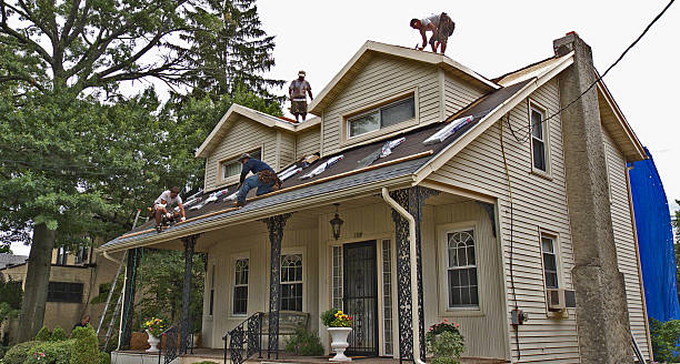 Best Roof Repair Estimates  in Orlinda, TN