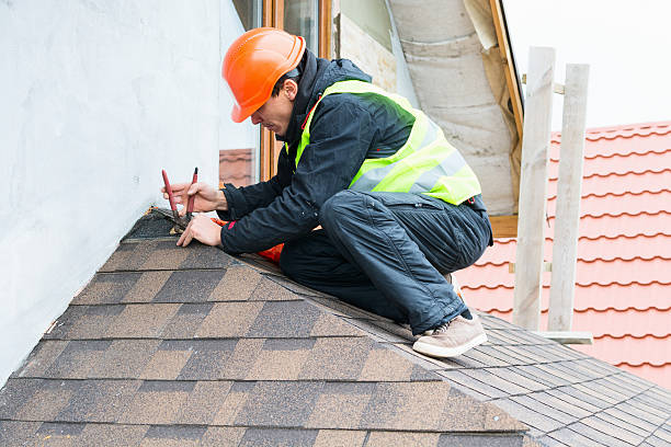 Best Storm Damage Roof Repair  in Orlinda, TN