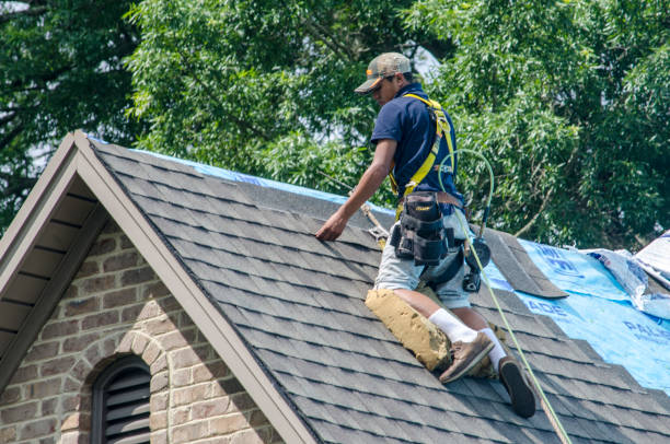 Best Roof Maintenance Services  in Orlinda, TN